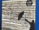 Dave Simonett razor pony lp Trampled By Turtles