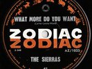 SIERRAS-What More Do You Want/She's The One-Australia/NZ 7