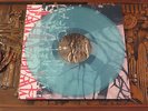 Thaw S/T 12