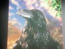 '79 3D Cover Original Australian Import The Stranglers-The Raven EMI UAC 5024