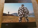 Pink floyd, Delicate Sound of Thunder, Vinyl lp