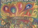 SAVAGE RESURRECTION LP mono wlp promo SF fuzz