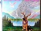 LITTLE FEAT 2XLP HOY HOY 1981 HOLLAND VG++/EX