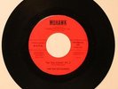 ENTERTAINERS Ginza 45 Mohawk 141 Fuzz Frat Garage Rock Tittyshake HEAR B-47