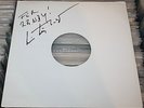 2LP MARIUS MÜLLER WESTERNHAGEN - Hottentottenmusik - TESTPRESSUNG AUTOGRAMM