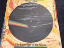 The Dark Side Of The Moon  Pink Floyd Limited Picture Edition vinyl LP