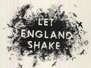 Let England Shake - P.J. Harvey (2011, Vinyl NEU)