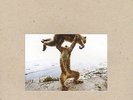 SHELLAC - DUDE INCREDIBLE   VINYL LP + CD NEUF