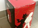 RENAUD - LE ROMAN DE RENAUD L'INTÉGRALE - COFFRET 20 ALBUMS - ÉDITION LIMITÉE