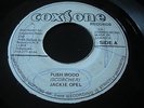 Jackie Opel - Push Wood / Terry & Jerry - Mama Julie - Coxsone 45 Ska RnB Listen