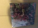 WOLF ALICE - GIANT PEACH  - 7