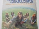 BLACK CROWES UK 12