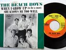 BEACH BOYS When I grow up 45 w/ PIC SLEEVE 1964 surf  e566