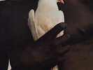 NEW Santana's Greatest Hits (180 Gram Audiophile Vinyl/Limited Edition)
