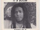 '87 OUT A GRASS DIGI KILLER 45 SWELELE IT A BOOM ex+ ?