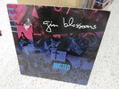 GIN BLOSSOMS - DUSTED VINYL LP RECORD SAN JACINTO RECORDS INCLUDES INSERT