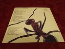 Eater The Album LP Label Records Punk 1977 TLR 001