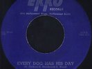 JESS WILLARD Every Dog Has Ekko 1018 Country Rockabilly 45  Eddie Cochran VG++