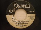 NIGHT RAIDERS / MICKEY HAWKS 'SCREAMIN MIMI JEANIE'- ROCKABILLY POUNDER *LISTEN*