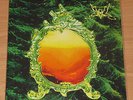 Summoning - Lost Tales - Black Metal - Paysage d'Hiver - Immortal - GREEN VINYL