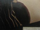 INSANE UNDER THE RADAR SYNTH PROG LP WILD COSMIC LOOPS DRAMA HIPHOP SAMPLES HEAR