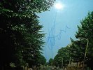The Beatles,, ABBEY RD. MIS-ALIGNED APPLE, WITH SIGNATURE. SEE DETAILS