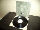 RUDIMENTARY PENI  Vinyl LP  