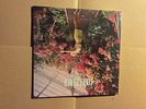 WOLF ALICE - GIANT PEACH - 7