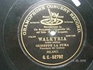 RARE 10” BLACK G&T – GIUSEPPE LA PUMA