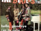 BEATLES - Hello Goodbye / I Am The Walrus Picture Sleeve - 7