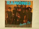 F9-76 The Ramones Animal Boy Vinyl LP Record Sire 25433-1 Nice