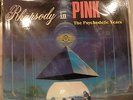 PINK FLOYD THE SCREAMING ABDABS RHAPSODY IN PINK 2 LPs 1990 NM Anderson Council
