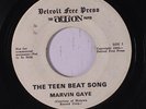 MARVIN GAYE: The Teen Beat Song 45 (wol) rare Soul