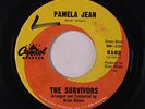 SURVIVORS: Pamela Jean / After The Game 45 (tag stain/wol) rare Rock & Pop