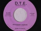 DOWN TO EARTH: Imaginary Passion / Rejected Lover 45 rare Soul