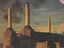 Pink Floy - Animals - Farbige Pressung Rosa - Langspielplatte - LP Vinyl - 1977