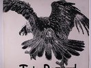 TUCKY BUZZARD: Buzzard LP (UK, VG+ gatefold cover) rare Rock & Pop