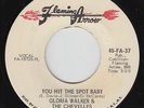 Funk 45 - Gloria Walker & Chevelles - You Hit The Spot - Flaming Arrow VG++ mp3