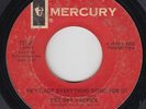Northern Soul 45 - Dee Dee Warwick - We've Got Everything - Mercury - mp3