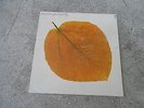 PETE JOLLY-SEASONS-LP-VINYL-GF-RARE JAZZ FUNK-A&M-DUSTYFINGERS SAMPLES-SPRINGS