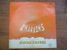PHARAOHS AWAKENING LP SCARAB 1971 RARE US SPIRITUAL SOUL JAZZ MASTERPIECE ??