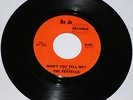 Rare Garage Punk/ The Vestells/