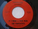 The Fantastics Havah Nagilah / If I Were A Rich Man Surf 45 Nomad Records