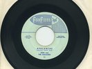 DON & THE GALAXIEX   Avalanche/Sundown   surf/garage   FOX FIDEL