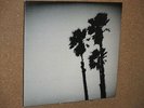 THE TWILIGHT SINGERS blackberr LP white VINYL AFGHAN WHIGS GREG DULLI LANEGAN