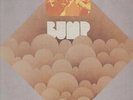 Bump NEAR MINT Pioneer Vinyl LP