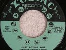 RUBY ANDREWS “Just Loving You” ORIG ZODIAC Z-1010 NM-