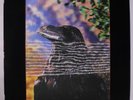 STRANGLERS: The Raven LP (UK, laminated 3D cover, inner sleeve, sl corner bend)