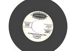 RAINDROPS--7'-PROMO 45--(THE KIND OF BOY YOU CAN'T FORGET)---VG++