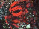 The Fool [VINYL] Warpaint Vinyl
